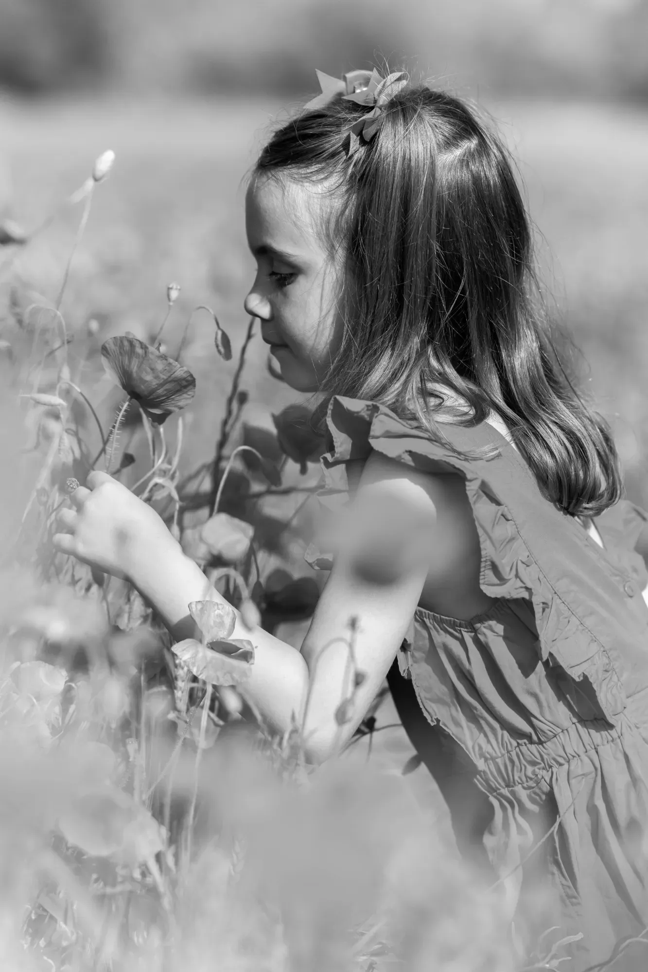 20250516 Coquelicots_2025-19